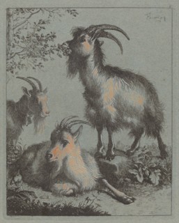 Three Goats, 1758.