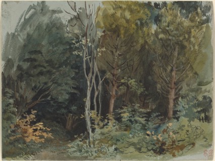 The Edge of a Wood at Nohant, c. 1842/1843.