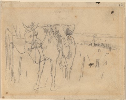 Tethered, 1864.