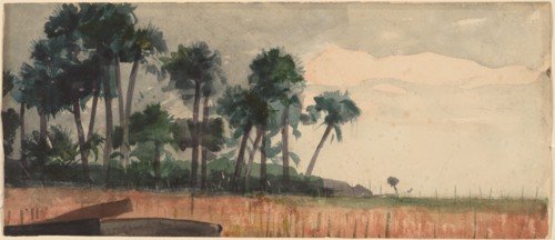 Palm Trees, Red, 1890.