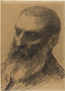 Head of a Man Facing Left.