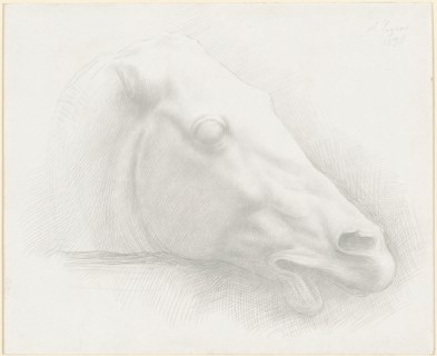 Head of a Horse from the Parthenon, 1898.
