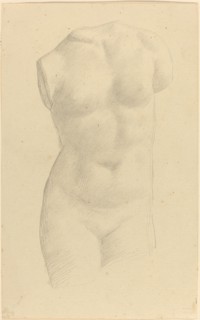 Torso.