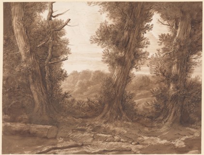 The Big Trees.