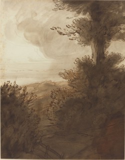 The Big Tree.