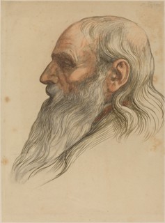 Study of a Man's Head with a Full Beard.