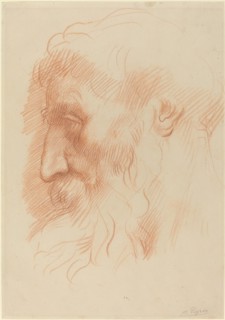 Study of a Man's Head [recto].