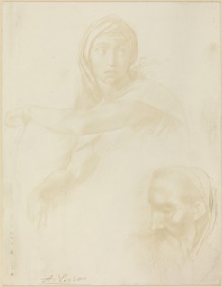 Study of Delphic Sibyl; Head of a Man.
