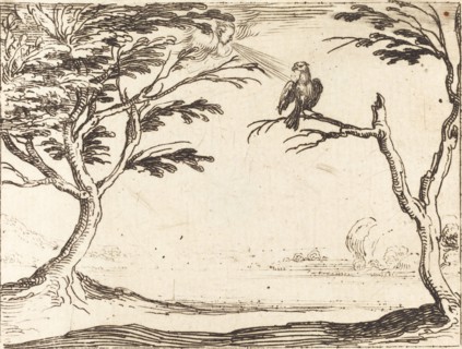 The Vulture.