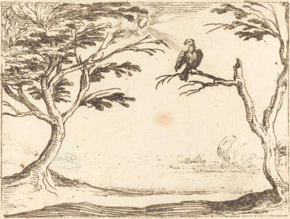 The Vulture.