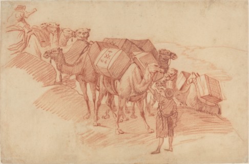 Camel Caravan.