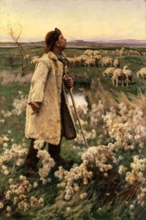 Shepherd, 1884.