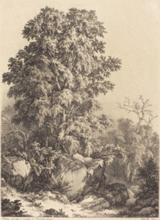 Beech Grove, 1840.