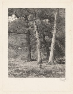 A Forest Clearing.