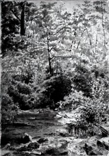 In The Woods, 1889.