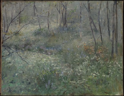 Wild Parsley, 1900.