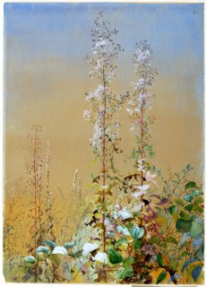 Untitled, ca. 1876.