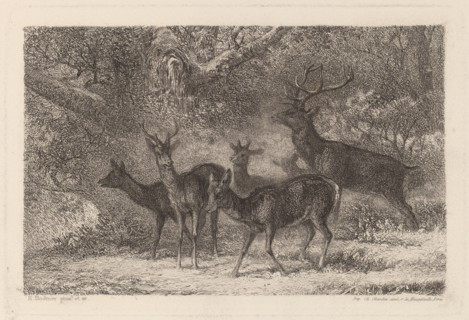 Le harde. [The herd].