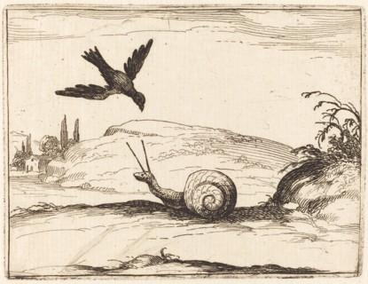 Crow and Snail, 1628.