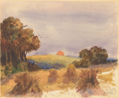 A Cornfield at Sunset.
