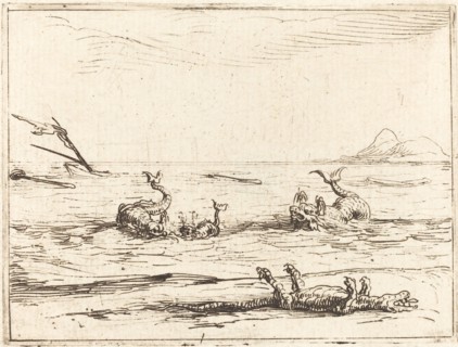Dolphins and Crocodile.