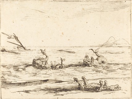Dolphins and Crocodile.