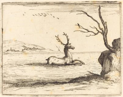 Stag in the Water, 1628.