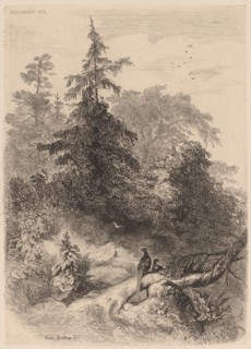 Les Faisans. [Pheasants].