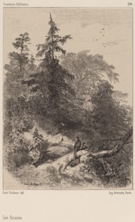 Les Faisans. [Pheasants].