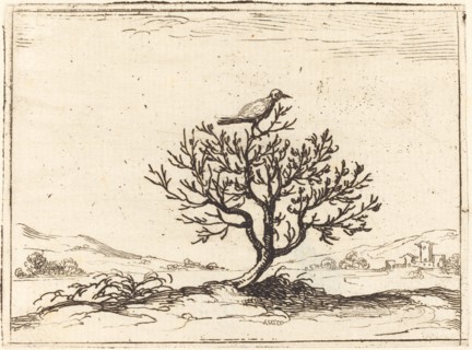 Nightingale in a Bush, 1628.