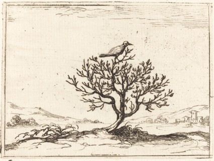 Nightingale in a Bush, 1628.