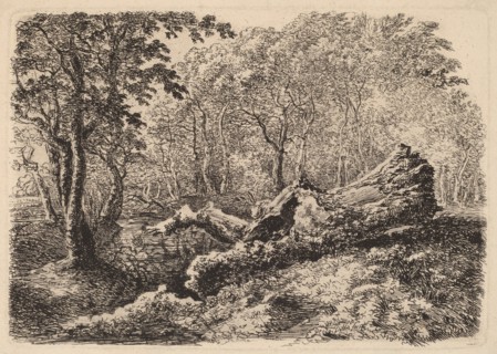 Mouldering Tree Trunk, 1794.
