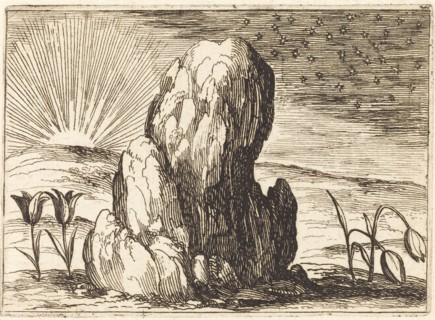 The Tulips and the Sun, 1628.