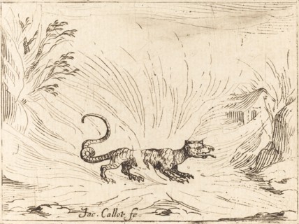 Salamander Surrounded by Flames.