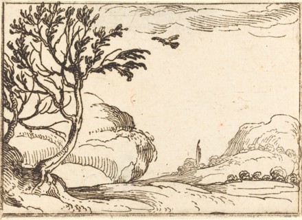 Turtle Dove Flying in the Desert.