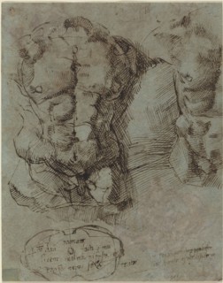 Studies of a Male Torso, c. 1524.