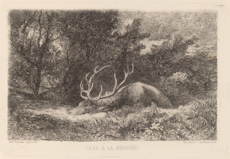 Cerf a la Reposee. [Resting stag].