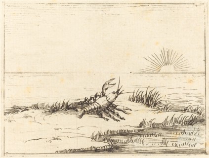 Crayfish Looking at the Sun, 1628.