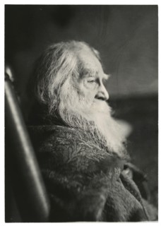 Walt Whitman in Camden, N.J., c. 1891.