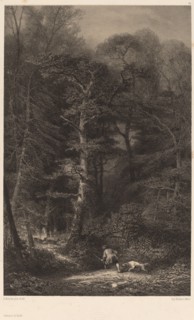 Intérieur de Forêt. [Inside the Forest].