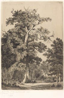 Ancient Oak in the Bois de Boulogne, 1855.