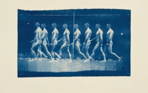 Marey Wheel Photographs of Jesse Godley, 1884.