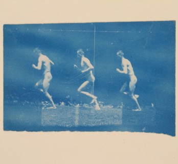 Marey Wheel Photographs of Jesse Godley, 1884.