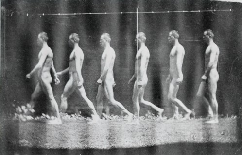 Marey Wheel Photographs of Jesse Godley, 1884.