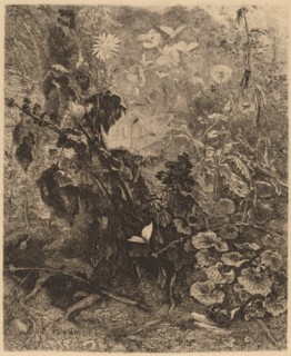 Escargots et papillons. [Snails and butterflies].