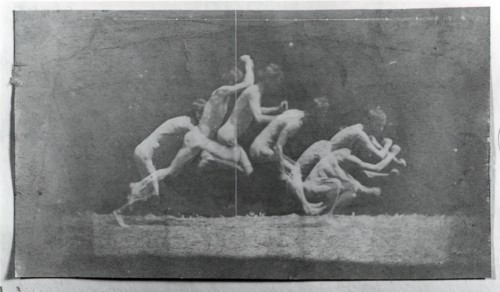 Marey Wheel Photographs of George Reynolds, 1884.