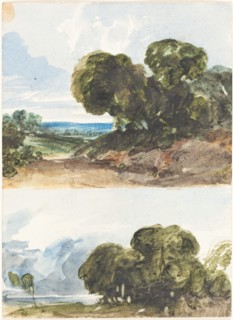 Two Sketches of Trees. Attributed to James Bulwer.