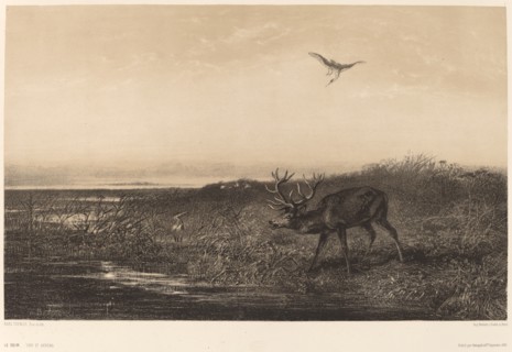 Le Soir. Cerf et Herons. [Evening. Stag and Herons].