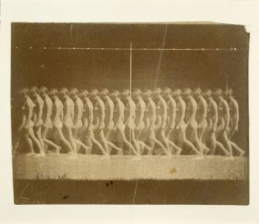 Marey Wheel Photographs of Unidentified Model, 1884.