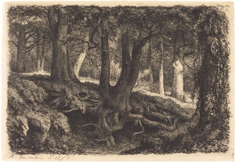 L'arbre aux racines (Tree with Roots), published 1849.